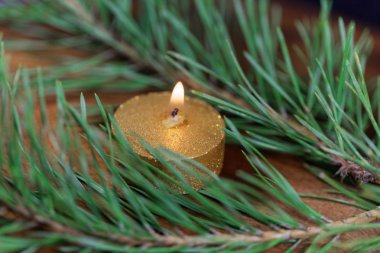 Çam iğneleri ile altın renkli mum