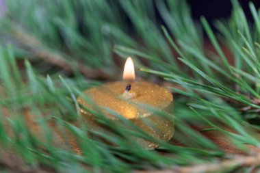 Çam iğneleri ile altın renkli mum