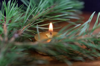 Çam iğneleri ile altın renkli mum