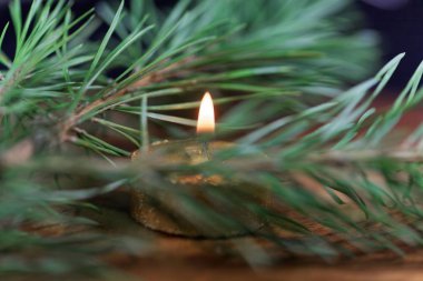 Çam iğneleri ile altın renkli mum
