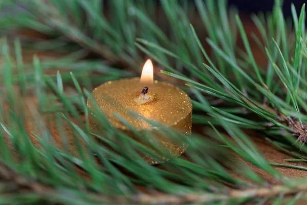 Çam iğneleri ile altın renkli mum