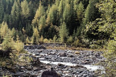 İsviçre Milli Parkı Val Trupchun Peyzaj
