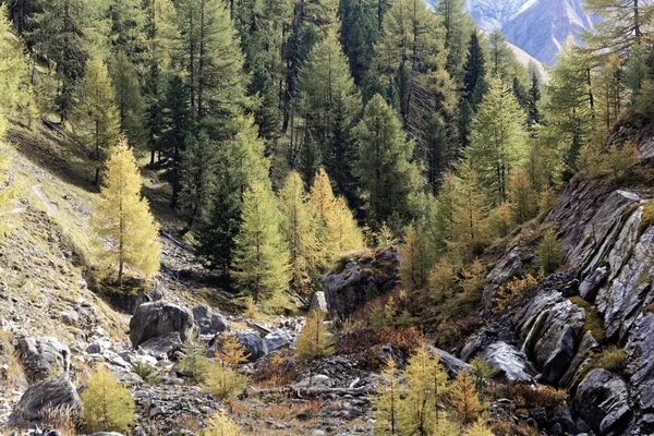 스위스 국립공원의 발 트루춘(Val Trupchun)의 풍경 — 스톡 사진