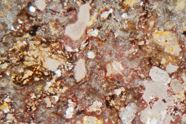 Suevite kayasının mikroskop altında ve polarize ışıkta ince bir bölümü.