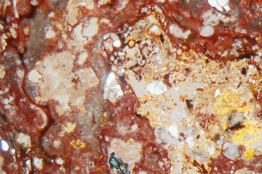 Suevite kayasının mikroskop altında ve polarize ışıkta ince bir bölümü.