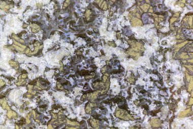  Yeşil yüzeydeki buz kristalleri