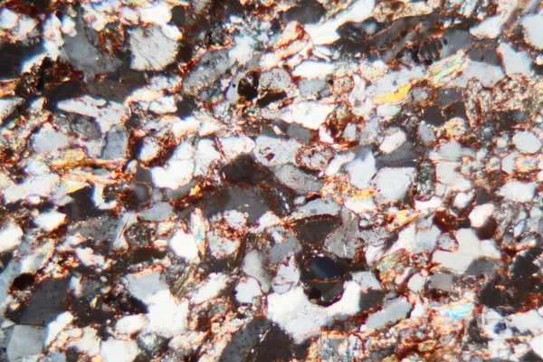 Sección delgada de una piedra arenisca de grano fino bajo el microscopio y en luz polarizada . — Foto de Stock
