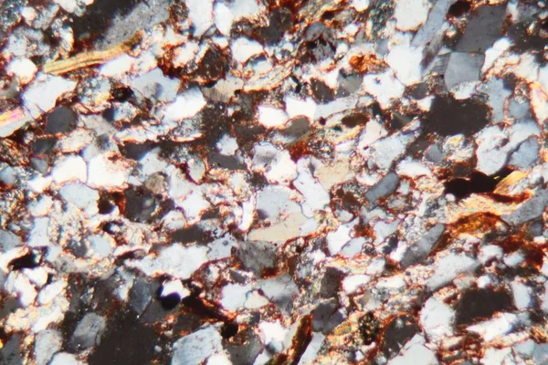 Тонкий участок мелкозернистого песчаника под микроскопом и в поляризованном свете . — стоковое фото
