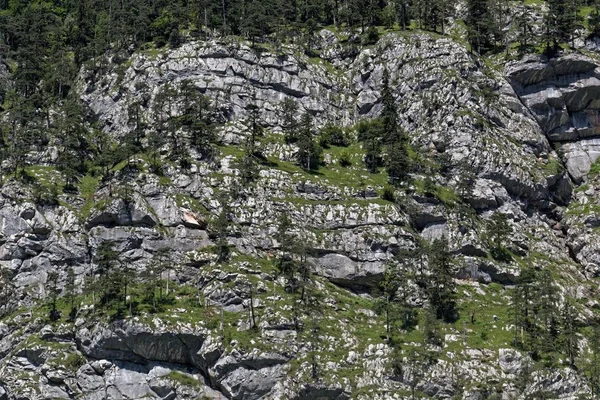 Lůžka Triassického vápence v oblasti Steinerne Platte v Rakousku — Stock fotografie