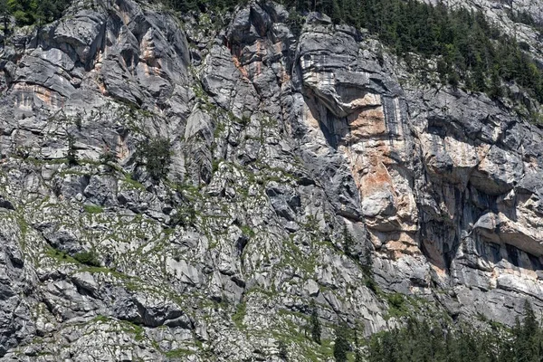 Beete aus Trias-Kalkstein auf der Steinernen Platte in Österreich — Stockfoto