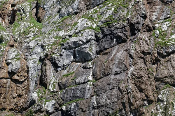 Avusturya'da Steinerne Platte bölgesinde Triyas kireçtaşı yatakları — Stok fotoğraf