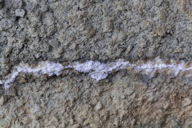 Kırık ve beyaz karbonat kristalizasyonu ile beton