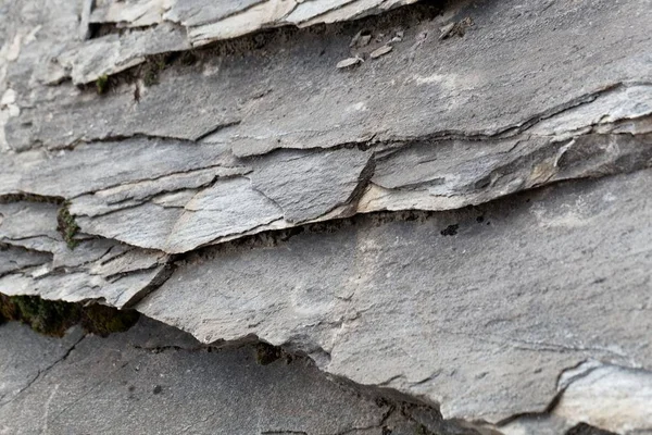 Schistes verts de l'âge paléozoïque des Alpes — Photo