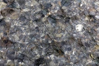 Taşlarla berrak bir dağ nehrinin su yüzeyi.