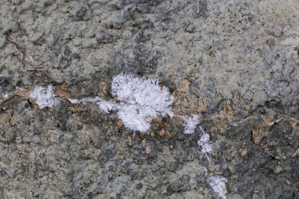 Concrete with a fracture and white carbonate crystallization