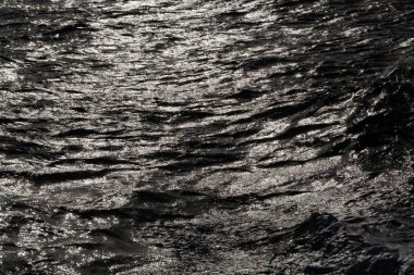 arka ışık dalgaları