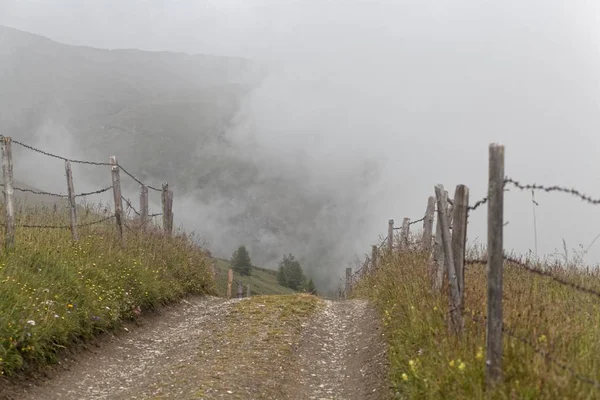 Польовий шлях у тумані — стокове фото