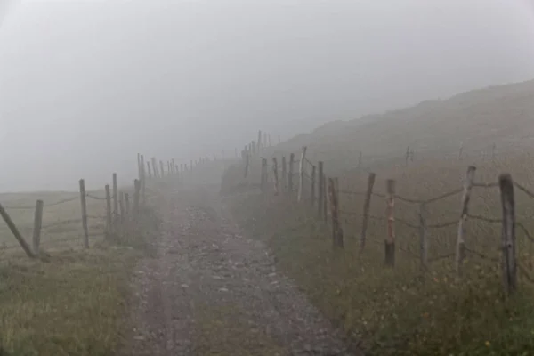 Cammino nella nebbia — Foto Stock
