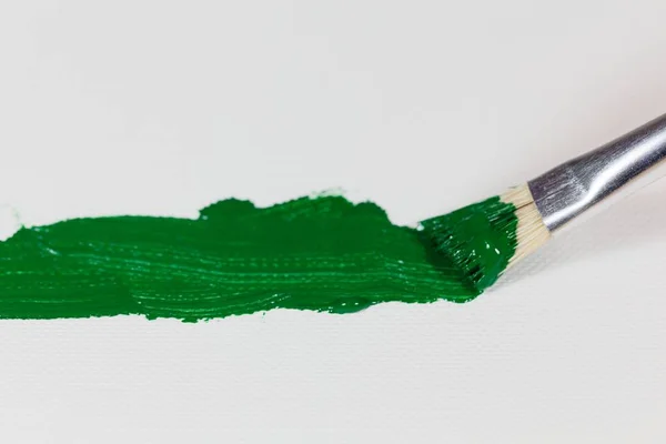 Paintbrush with green color on a canvas background — Stock Photo, Image