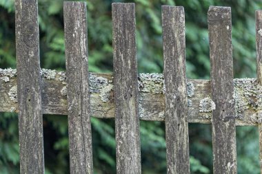 Eski ve gri ahşap çit