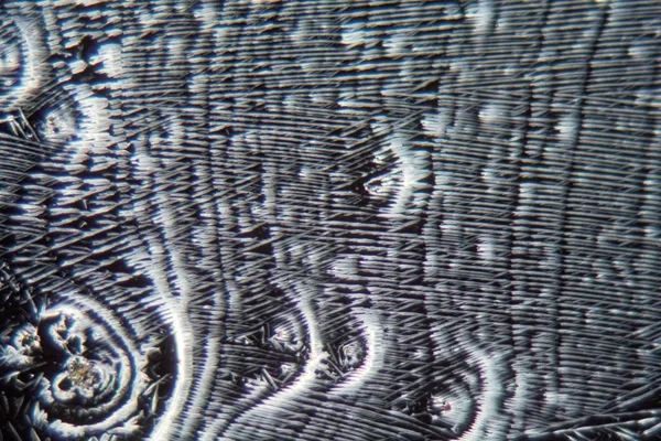 Кристаллы нитрата калия под микроскопом — стоковое фото