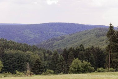 Almanya'da Thüringen Ormanı Doğa Parkı'nın bir parçası olan Vessertal'deki peyzaj
