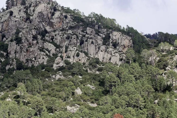 Paisaje cerca de Canaglia en las montañas corsas . —  Fotos de Stock