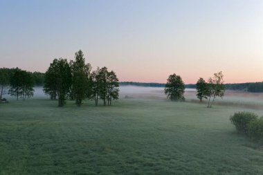 Sabahın erken saatlerinde Polonya Bialowieza Milli Parkı Peyzaj