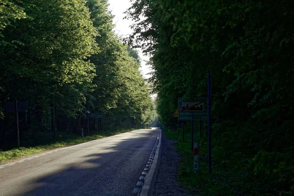 Droga w Białowieży w Polsce. — Zdjęcie stockowe