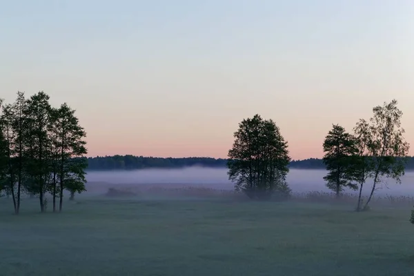 Landscape in the Bialowieza National Park in Poland at the early morning — Stock Photo, Image