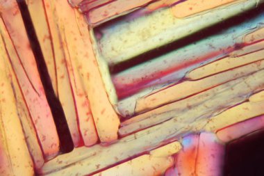 Mikroskop altında kırmızı şarap, Şiraz.