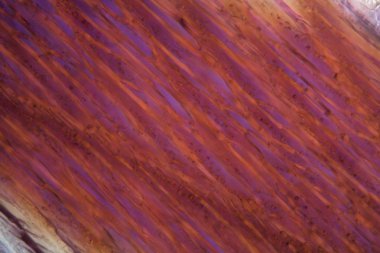 Mikroskop altında kırmızı şarap, Cabernet Sauvignon