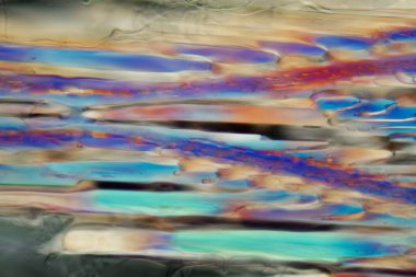 Mikroskop altında beyaz şarap, Sauvignon blanc.