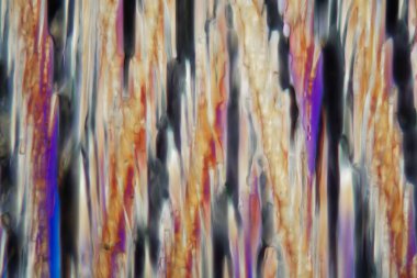 Mikroskop altında beyaz şarap, Riesling. 