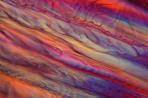 Red wine under a microscope, Zinfandel