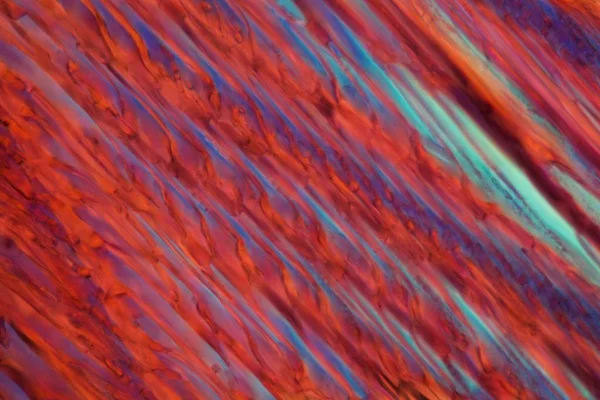 Red wine under a microscope, Merlot. — Stock Photo, Image