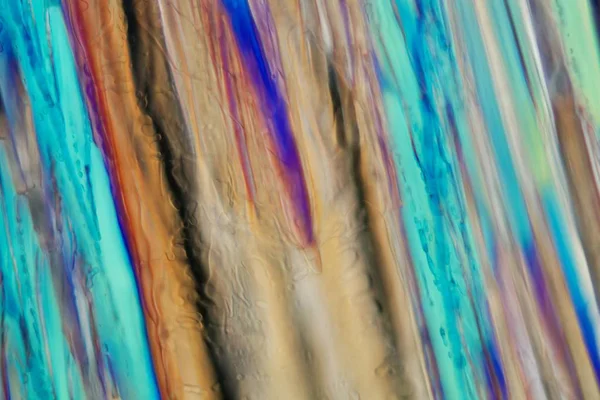 Біле вино під мікроскопом, Совіньон Блан. — стокове фото