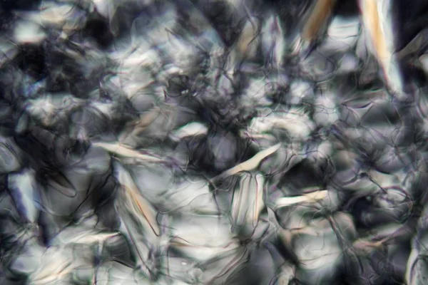 Белое вино под микроскопом, Коломбард Совиньон . — стоковое фото