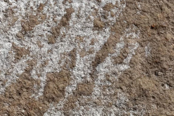 Salt crystals on the surface of a sandstone