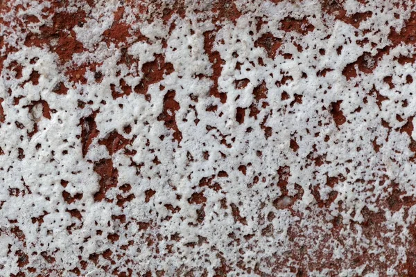 Salt crystals on the surface of a red brick