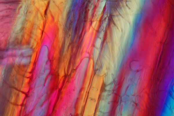Red wine under a microscope, Shiraz.