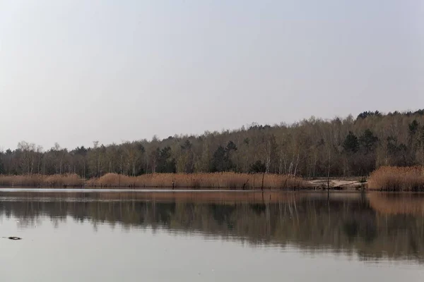 View of the Ludwigsee in Saxony Anhalt/Germany. — Stock Photo, Image