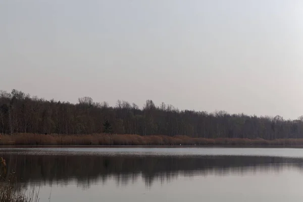 View of the Ludwigsee in Saxony Anhalt/Germany. — Stock Photo, Image