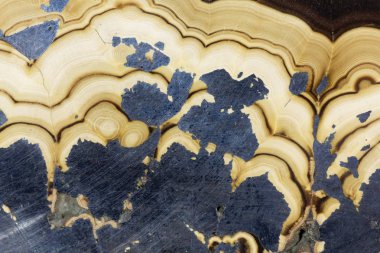 Makro fotoğraf bir Schalenblende, Sphalerite ve Wurzite, Çinko ve Demir mineralleri karışımı