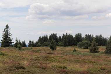 Fransa 'daki Yüksek Vosges Dağlarındaki manzara. 
