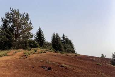 Puy de Lassolas'ta manzara, Massif Central'da bir volkanik dağ, Fransa. 