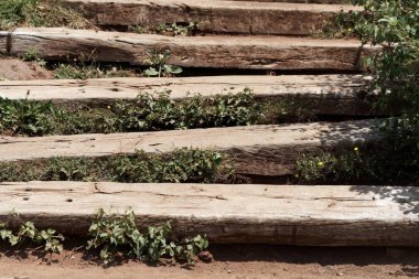Masif Merkez dağlarında ahşap basamaklar