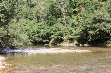 Güney Fransa'da Tarn Nehri 
