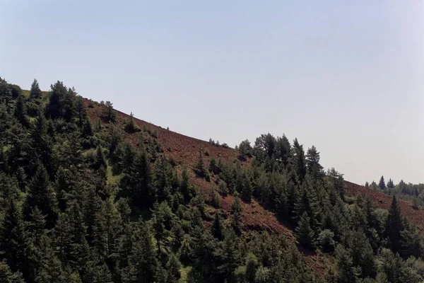 Landscape at the puy de Lassolas, a volcanic mountain in the Massif Central, France. — Stock Photo, Image