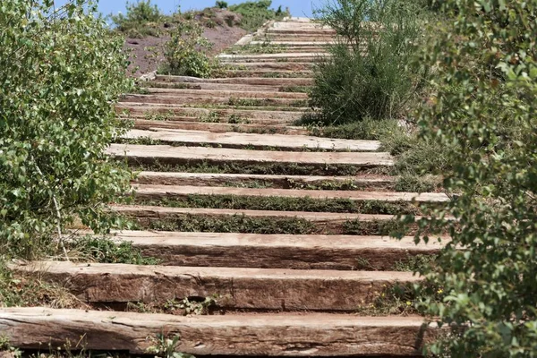 Wooden steps in the mountains of the Massif Central